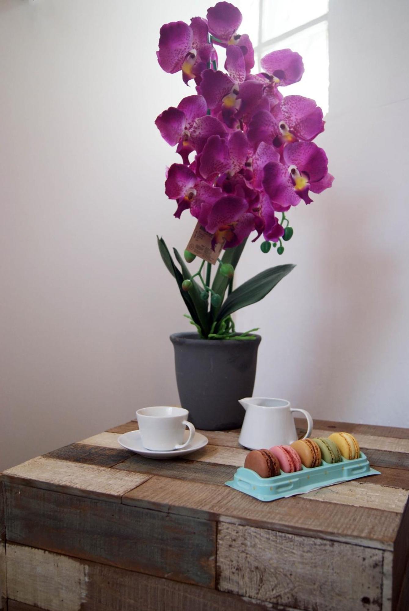 ולנסיה Apartamentos Centricos Barrio Del Carmen מראה חיצוני תמונה