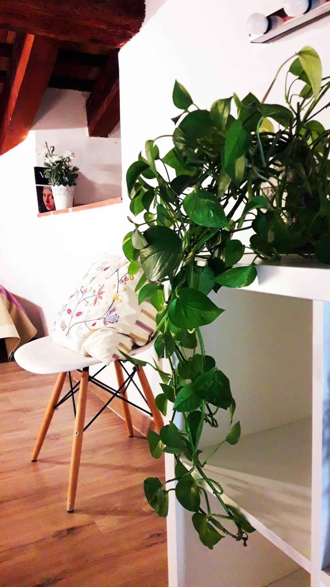 ולנסיה Apartamentos Centricos Barrio Del Carmen מראה חיצוני תמונה