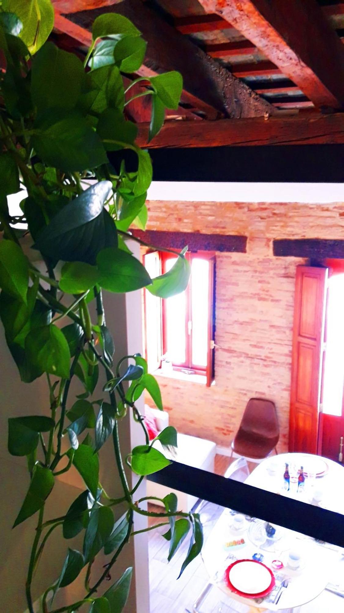 ולנסיה Apartamentos Centricos Barrio Del Carmen מראה חיצוני תמונה